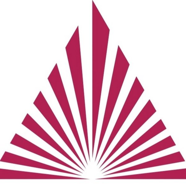 Южный федеральный университет лого