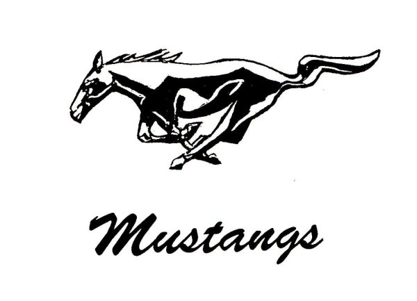 Надпись Мустанг