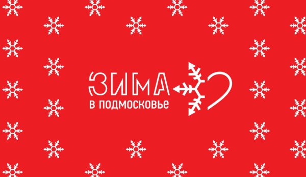 Зима в Подмосковье 2020 брендбук