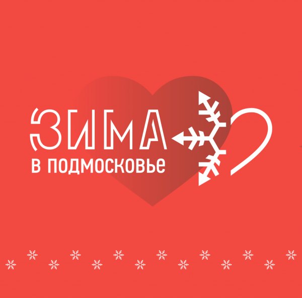 Зима в Подмосковье брендбук