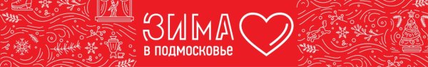 Зима в Подмосковье 2020 брендбук