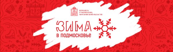 Зима в Подмосковье брендбук