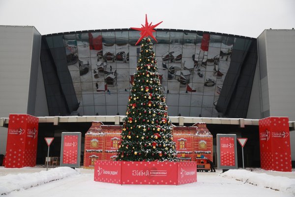 Зима в Подмосковье 2022 брендбук