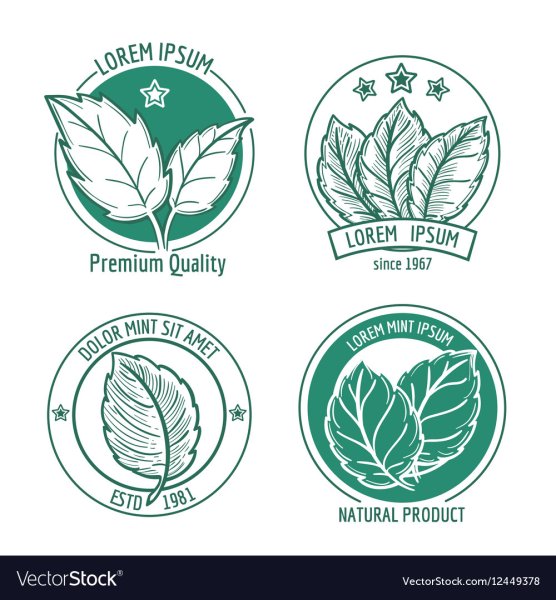 Лист мяты логотип