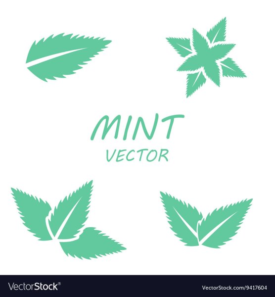 Мята вектор значок