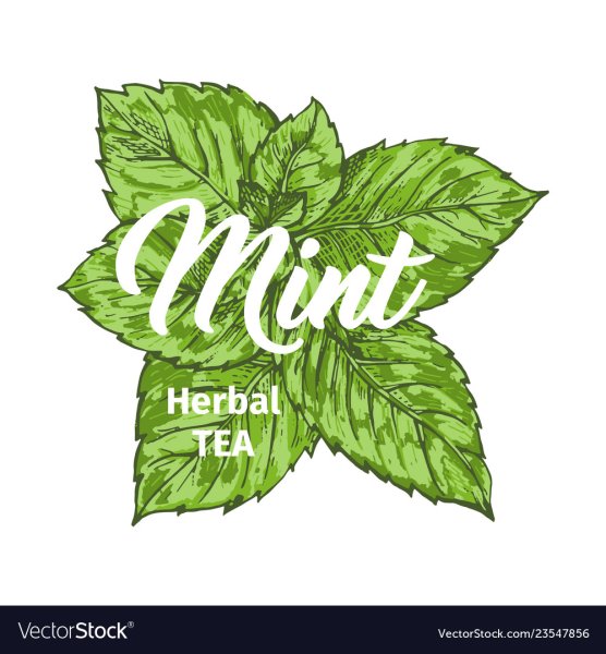 Костеры ботаника рисунок надпись