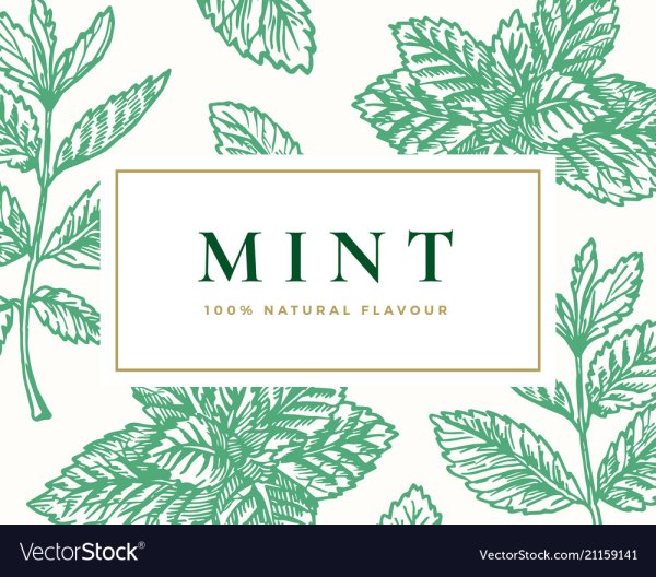 Mint illustration