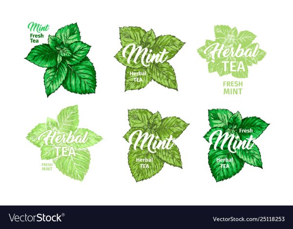 Наклейки для чая из мяты