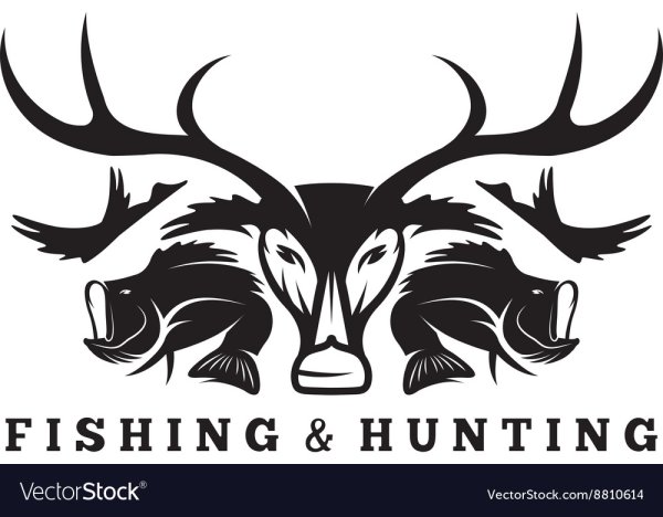 Охота и рыбалка вектор