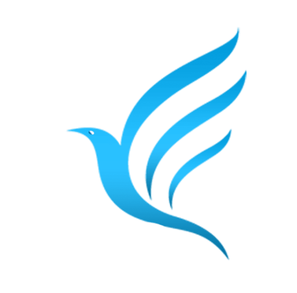 Птица логотип на прозрачном фоне