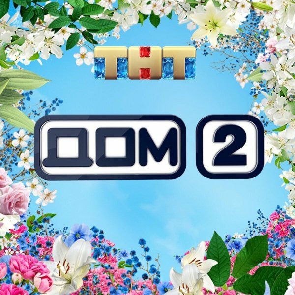 Дом 2 ТНТ логотип