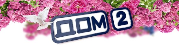 Дом 2 старый логотип