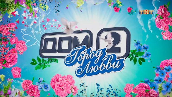 Дом 2 ТНТ логотип