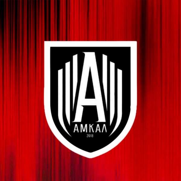 АМКАЛ 2020