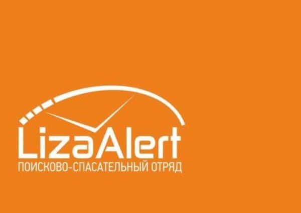 Лиза Алерт эмблема