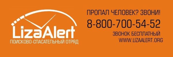 Логотип Лиза Алерт Самарская вертикальный