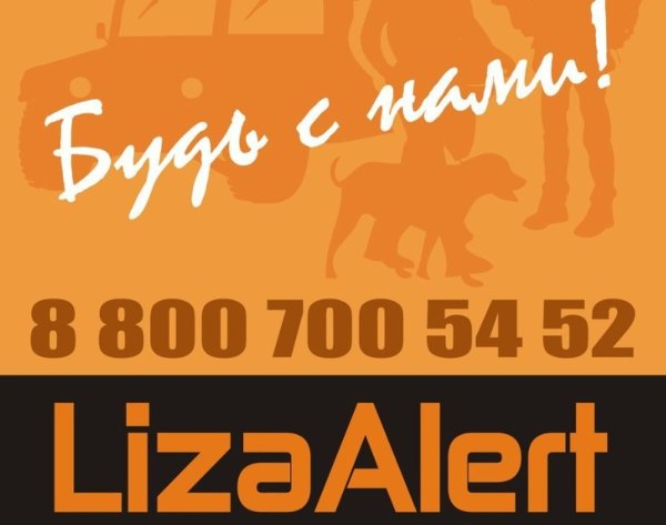 Лиза Алерт значок лиса