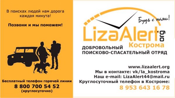 Лиза Алерт листовки