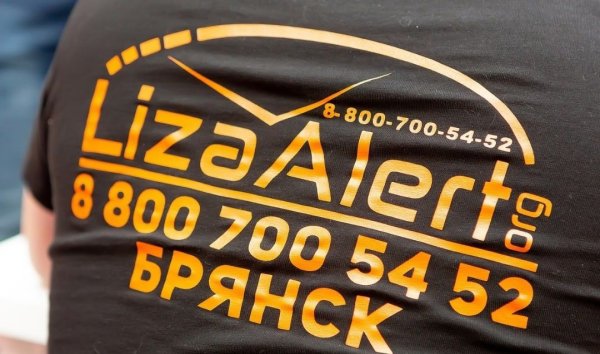 Лиза Алерт Брянск логотип