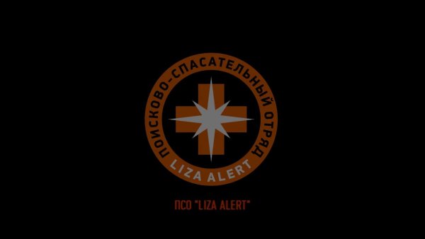Поисково-спасательный отряд Лиза Алерт