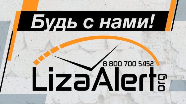 Лиза Алерт надпись