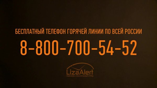 Горячая линия Лиза Алерт