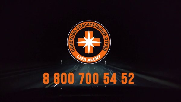 Лиза Алерт заставка