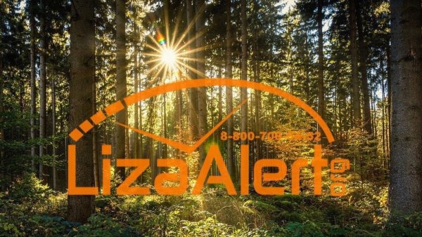 Лиза Алерт