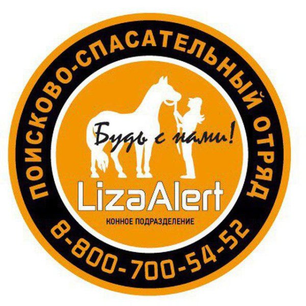 Поисково-спасательный отряд Лиза Алерт эмблема