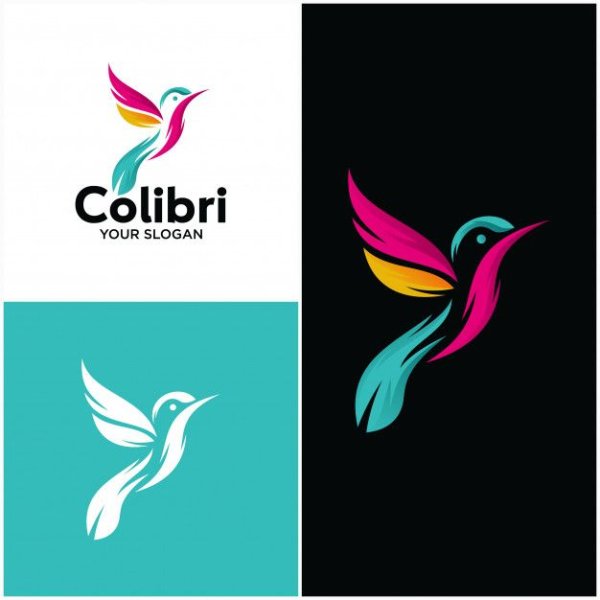 Colibri картины логотип