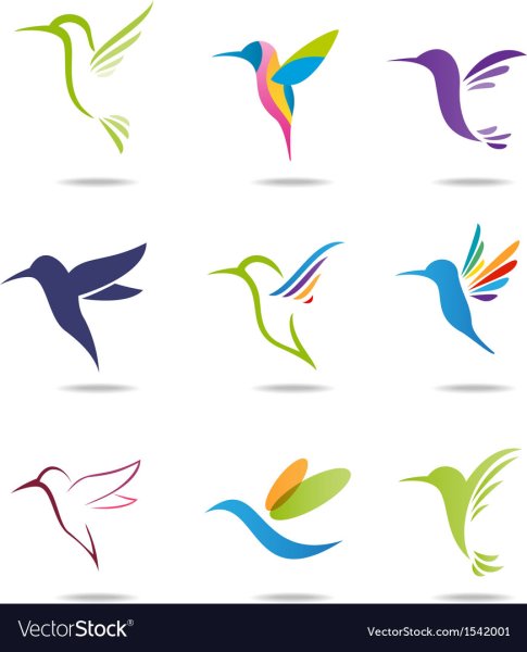 Тату Колибри одной линией