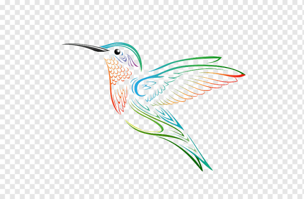 Колибри Векторная Графика
