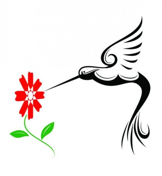 Колибри вектор