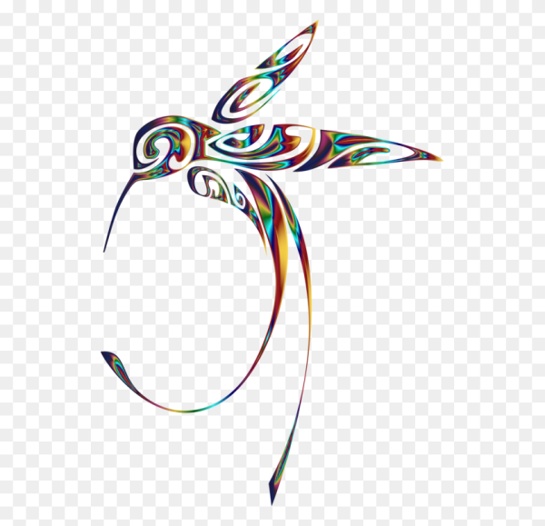 Колибри Векторная Графика