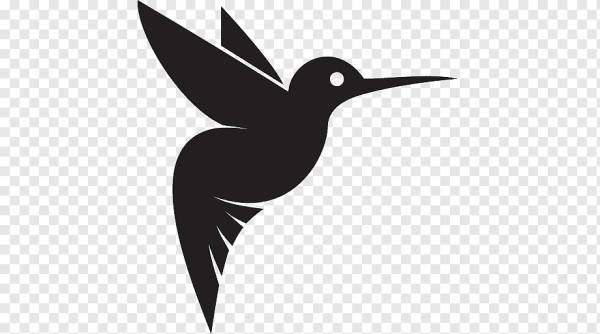 Силуэт птицы Колибри