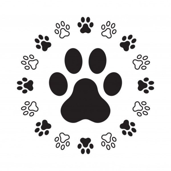 Собачья лапка