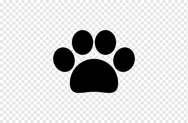 След лапы собаки