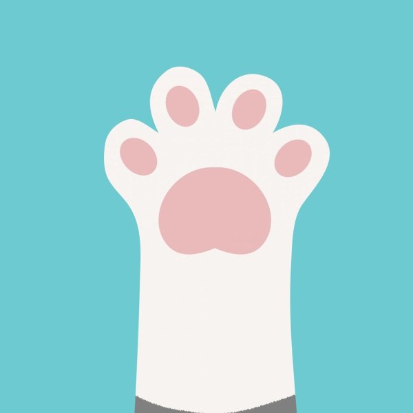 Логотип лапка