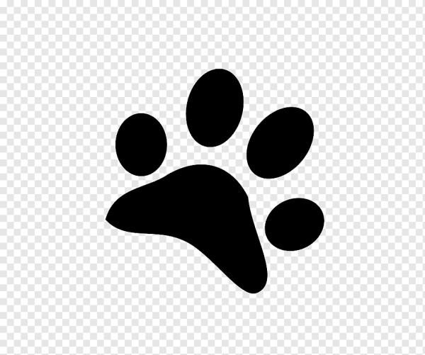 Собачьи лапки следы