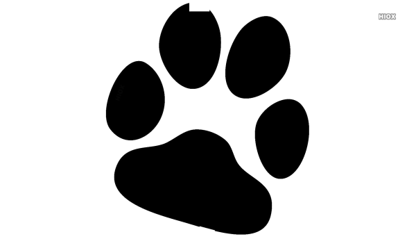 След собаки