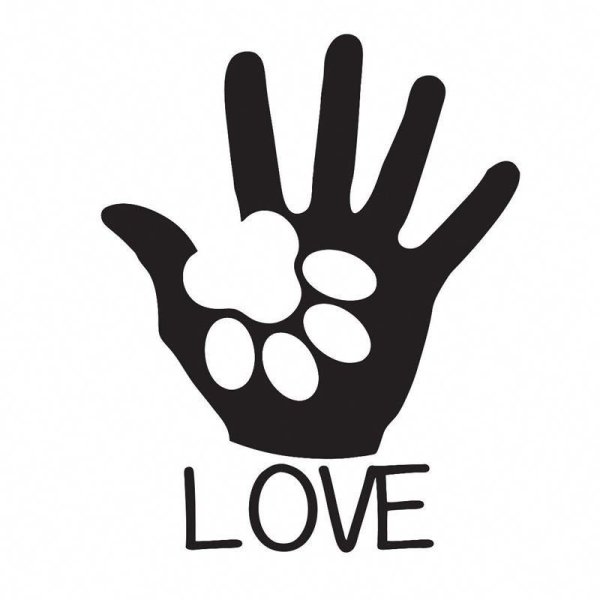 Рука и лапа силуэт