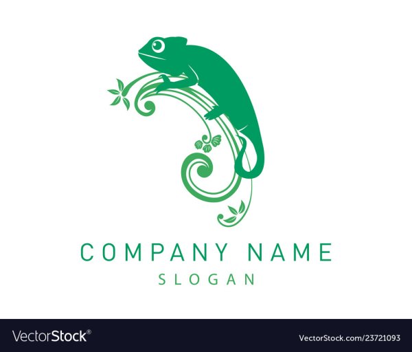 Хамелеон лого вектор