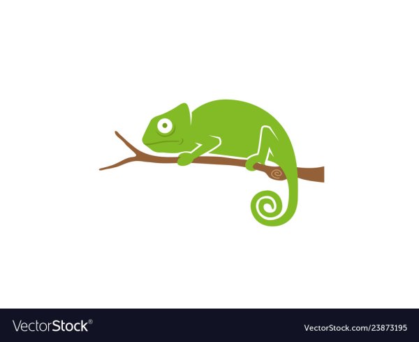 Хамелеон лого вектор