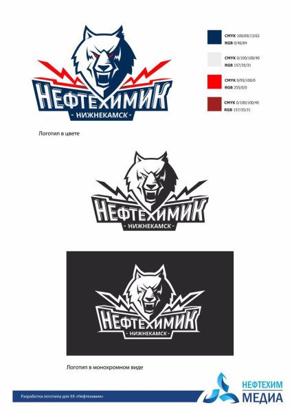 Эмблема хк Нефтехимик