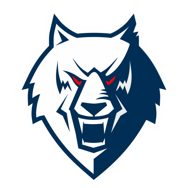 Хк Нефтехимик волк