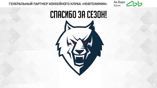 Хк Нефтехимик волк