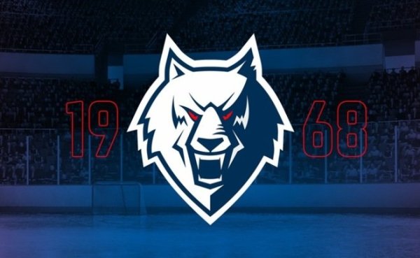 Хк Нефтехимик Нижнекамск логотип