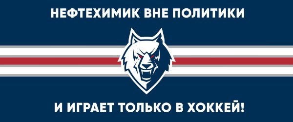 Эмблема хк Нефтехимик