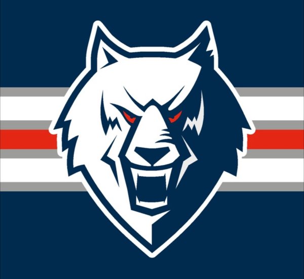 Хк Нефтехимик волк