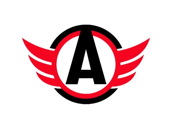 Автомобилист эмблема